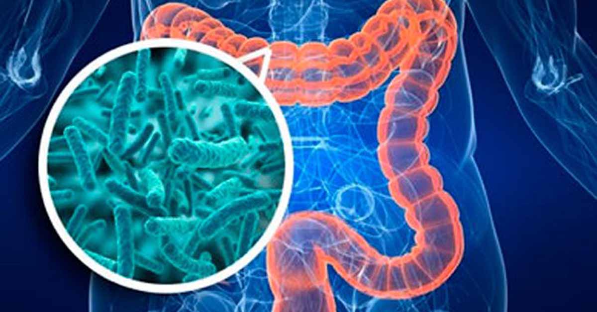 Střevní mikrobiom a kratom